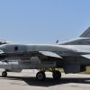 336SqnTailmark (5)